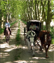 BUE Estancia Los Patos carriage ride.jpg (28428 bytes)