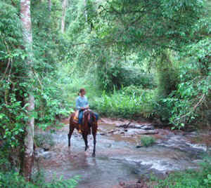 !!!ARG IGR Las Mercedes horseback.jpg (64942 bytes)