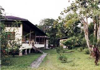 !!!Amazonia Lodge view.jpg (38810 bytes)