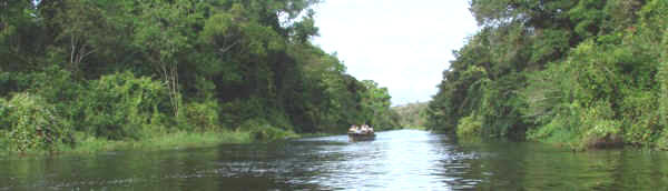 skiff on river long.jpg (57102 bytes)